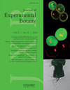 JOURNAL OF EXPERIMENTAL BOTANY雜志封面